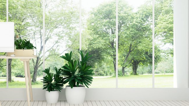 The interior minimal work space 3d rendering and nature view bac